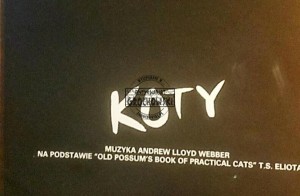 Koty