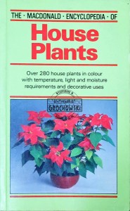 House plants