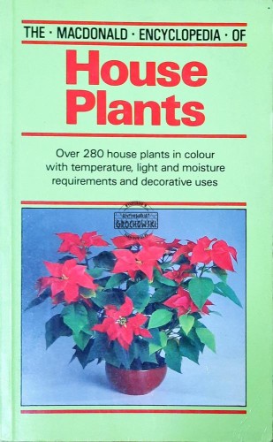 636359 House plants