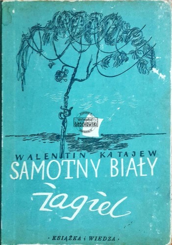 622636 Samotny biały żagiel