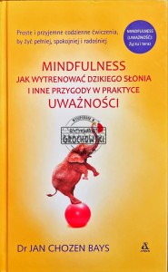 Mindfulness. Jak wytrenować dziekigo słonia i inne przygody w praktyce uważności