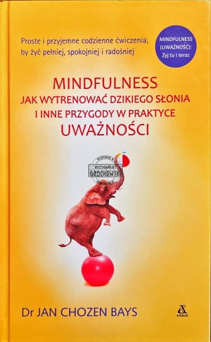 642931 Mindfulness. Jak wytrenować dziekigo słonia i inne przygody w praktyce uważności