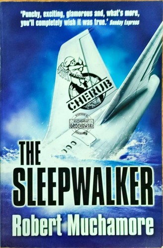 645622 The Sleepwalker