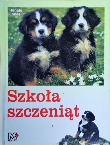647977 Szkoła szczeniąt