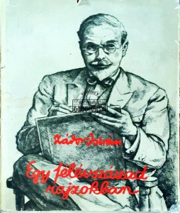 Egy Felevszazad Rajzokban