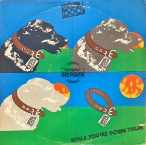 Stray Dog – While You're Down There LP