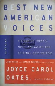 Best New American Voices