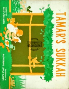 Timar's Sukkah