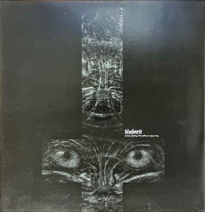 Blodsrit – The Well Of Light Has Finally Dried LP (Limited Edition)