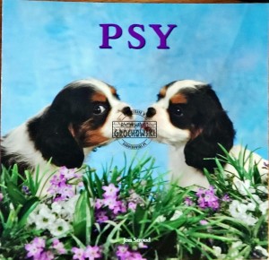 Psy
