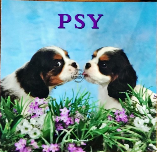 658334 Psy