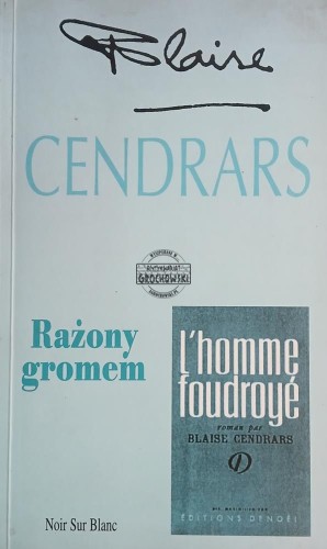 660140 Rażony gromem