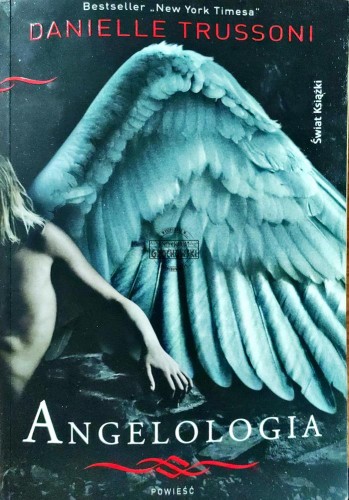 658996 Angelologia