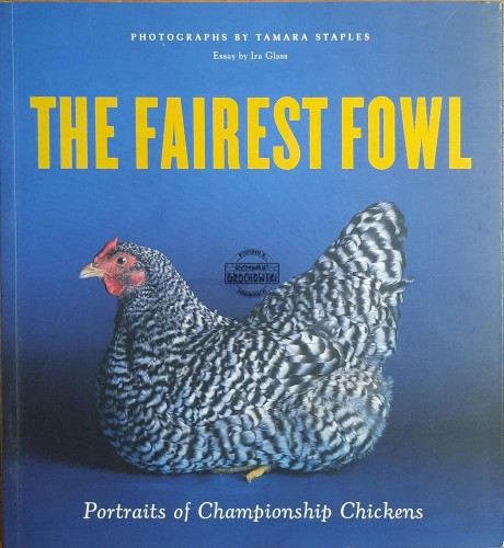 659828 The Fairest Fowl. Portraits of Championship Chickens