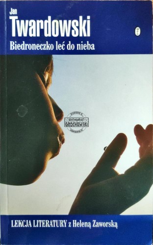 661767 Biedroneczko leć do nieba