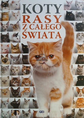 663659 Koty, Rasy z całego świata