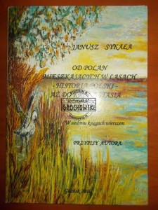 Od Polan mieszkających w lasach aż do króla Stasia: historia Polski w siedmiu księgach wierszem