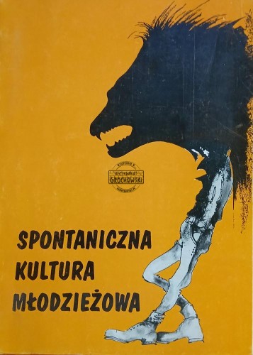 663766 Spontaniczna kultura młodzieżowa