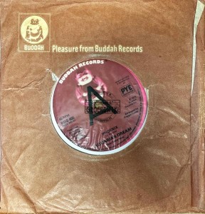 Aquarian Dream – Phoenix 7"
