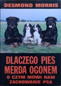 Dlaczego pies merda ogonem. O czym mówi nam zachowanie psa