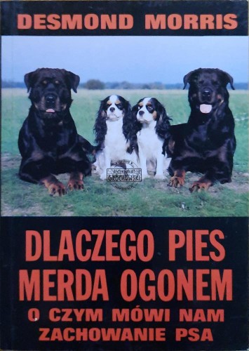 662875 Dlaczego pies merda ogonem. O czym mówi nam zachowanie psa