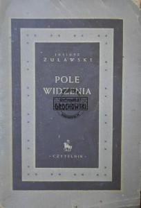 Pole widzenia