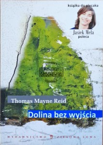Dolina bez wyjścia