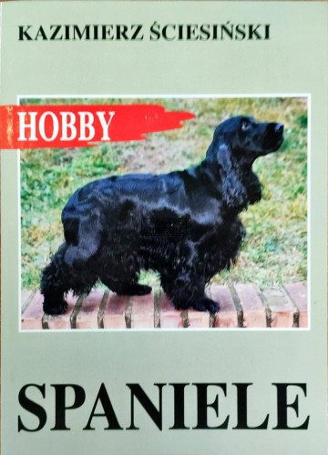 664972 Spaniel