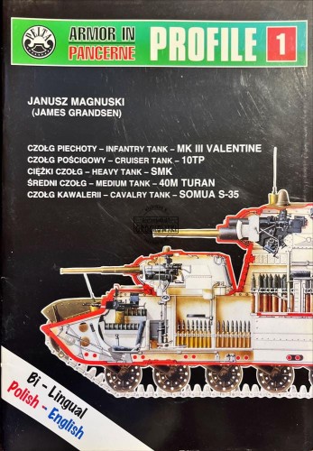 493314 Armor in Pancerne, profile 1