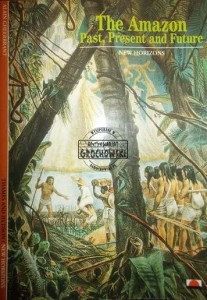 The Amazon Past, Present and Future