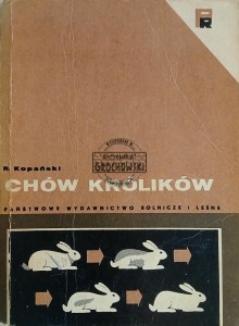 Chów królików