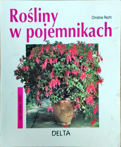 668351 Rośliny w pojemnikach