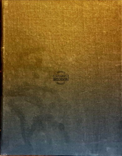 698425 Roczniki, czyli kroniki sławnego Królestwa Polskiego, księga 7-8