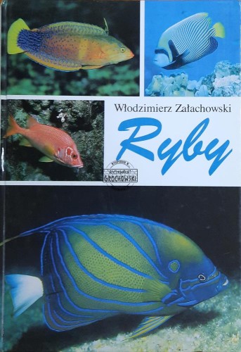 667835 Ryby