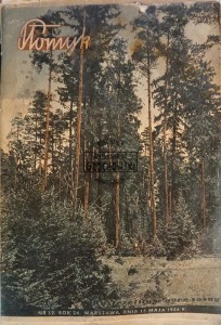Płomyk nr. 12  (15 maja 1946 r.)