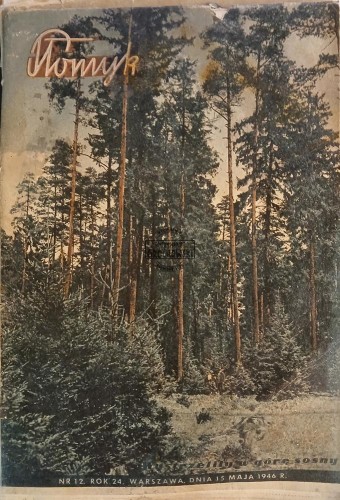 669926 Płomyk nr. 12  (15 maja 1946 r.)