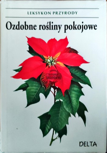 688061 Ozdobne rośliny pokojowe