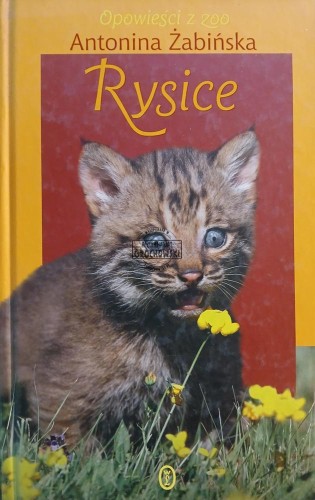 689161 Rysice