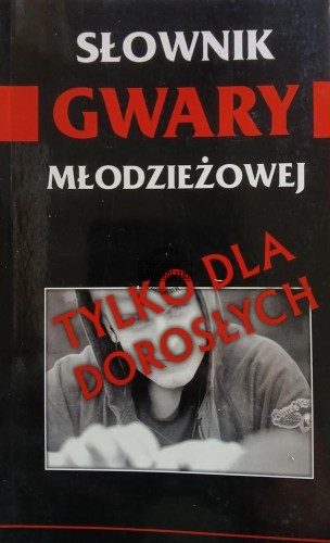 689192 Słownik gwary młodzieżowej