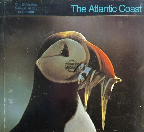 689231 The Atlantic Coast