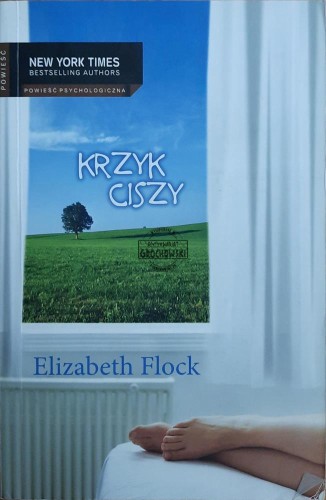 687775 Krzyk ciszy