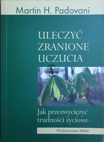 687874 Uleczyć zranione uczucia. Jak przezwyciężyć trudności życiowe