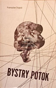 Bystry potok