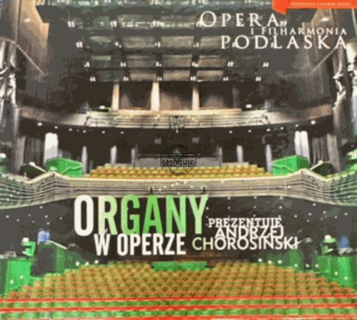 image42 (Copy).gif