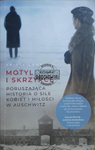 Motyl i skrzypce
