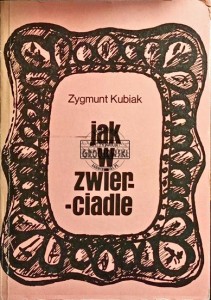 Jak w zwierciadle
