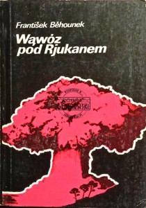 Wąwóz pod Rjukanem 