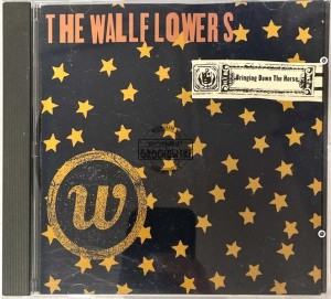 The Wallflowers – Bringing Down The Horse CD