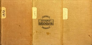 Rok 1848. Dramat dziejowy, tom I-II