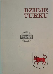 Dzieje Turku